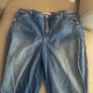 Anthropologie Stove Pipe Jeans size 20w no stretch